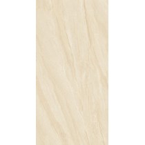 Gạch Takao 60x120 52101