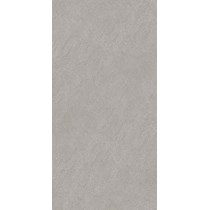 Gạch Takao 60x120 mờ 32111