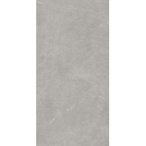 Gạch Takao 60x120 mờ 32112