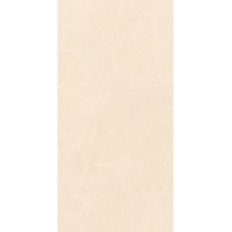 Gạch Takao 60x120 mờ 52111