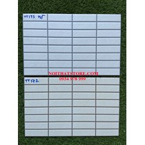Gạch trang trí 25x40 TT172-173 mờ