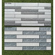 Gạch trang trí 25x50 giá rẻ men mờ TTP25281-25219