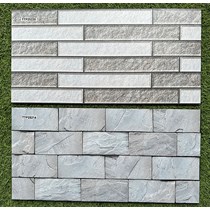 Gạch trang trí 25x50 giá rẻ men nhám TTP25214-25220