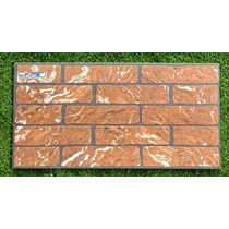 Gạch trang trí 25x50 giá rẻ SM25516