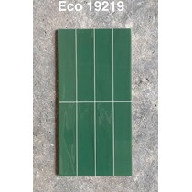 Gạch trang trí 30x60 bóng ECO 19219