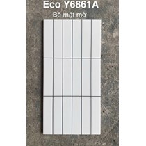 Gạch trang trí 30x60 mờ ECO Y6861A