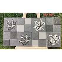 Gạch trang trí 3D Ấn Độ 30x60 3818G