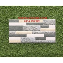 Gạch trang trí giá rẻ 20x40 ĐVT2482M