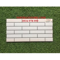 Gạch trang trí giá rẻ 25x50 W25502M