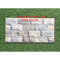 Gạch trang trí giá rẻ 25x50 W25507M