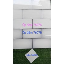 Gạch Trung Quốc 30x60 men kính 7607