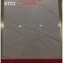 Gạch Trung Quốc 80x80 đồng chất 8T02