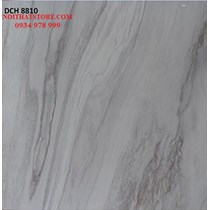 Gạch Trung Quốc 80x80 đồng chất DCH8810