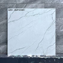 Gạch Viglacera 100x100 AZ51-9GP101001