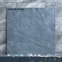 Gạch Viglacera 100x100 AZ54-9GP101003