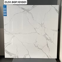 Gạch Viglacera 100x100 CL51-9GP101001
