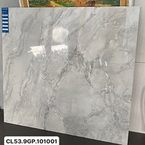 Gạch Viglacera 100x100 CL53-9GP101001
