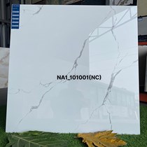 Gạch Viglacera 100x100 NA1-101001