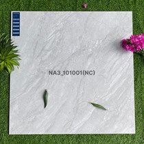 Gạch Viglacera 100x100 NA3-101001