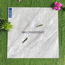 Gạch Viglacera 100x100 NA3-101003