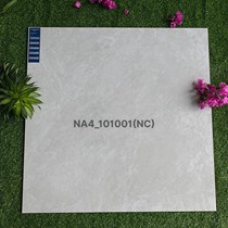 Gạch Viglacera 100x100 NA4-101001