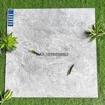 Gạch Viglacera 100x100 NA5-101001