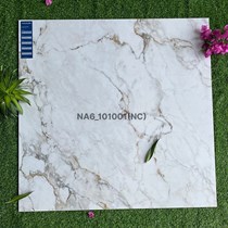 Gạch Viglacera 100x100 NA6-101001