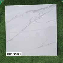 Gạch Viglacera 100x100 SH51-9GP01