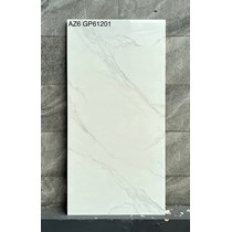 Gạch Viglacera 60x120 AZ6-GP61201