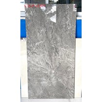 Gạch Viglacera 60x120 CLGP61209