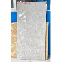 Gạch Viglacera 60x120 CLGP61210