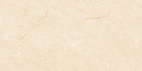 Gạch Viglacera 60x120 MD-D61202