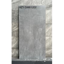 Gạch Viglacera 60x120 mờ AZ1-GM61202
