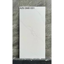 Gạch Viglacera 60x120 mờ AZ6-GM61201