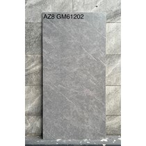 Gạch Viglacera 60x120 mờ AZ8-GM61202