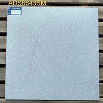 Gạch Viglacera 60x60 bán sứ mờ ADS6643SM