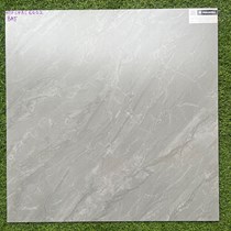 Gạch Viglacera 60x60 bán sứ mờ SHBS6602