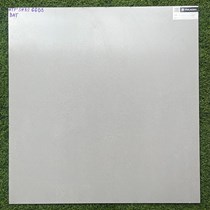 Gạch Viglacera 60x60 bán sứ mờ SHBS6603