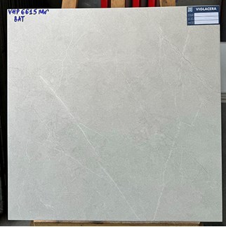 Gạch Viglacera 60x60 bán sứ mờ VHP6615
