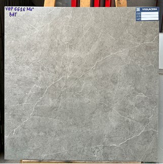 Gạch Viglacera 60x60 bán sứ mờ VHP6616