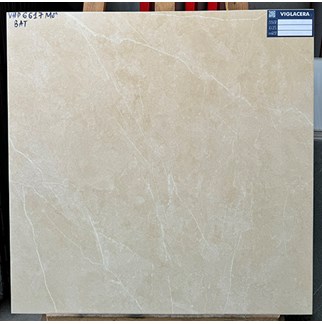 Gạch Viglacera 60x60 bán sứ mờ VHP6617