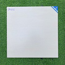 Gạch Viglacera 60x60 mờ SM601