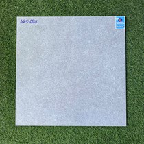 Gạch Viglacera 60x60 mờ xi măng AZ5-6601