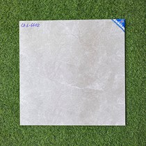 Gạch Viglacera 60x60 mờ xi măng CA1-6602