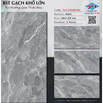 Gạch Ý Mỹ 60x120 F61245001RC mờ