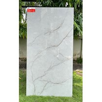 Gạch Ý Mỹ 60x120 N61248007R