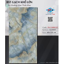 Gạch Ý Mỹ 60x120 P61248012C